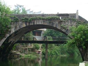 Longevity Bridge