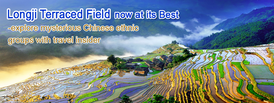 Longji Terraced Feild