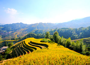 Longji Trerrace Field Jinkeng Dazhai Village