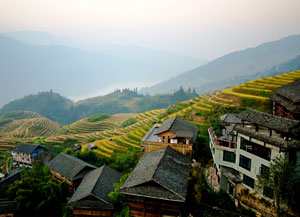 Longji Trerrace Field Longji Terraced Fields in Ping'an Village