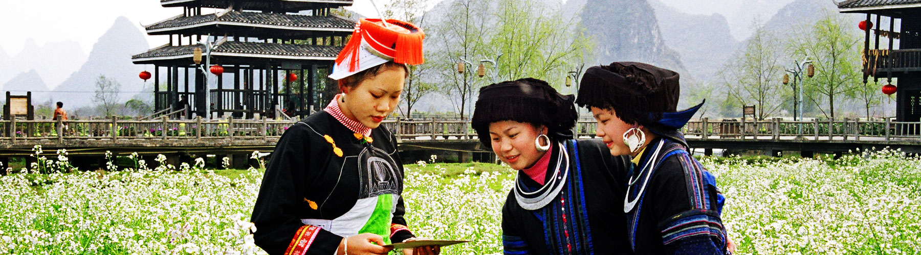 Theme Tours