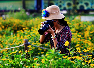Taking Photos