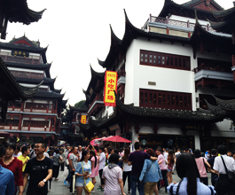 Shanghai Shopping