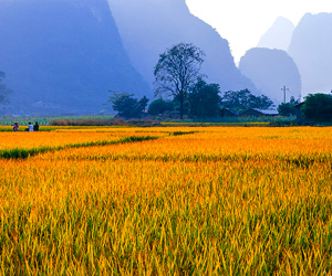 Colorful Autumn Scenery Colorful Autumn Scenery