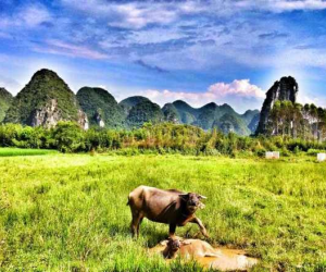 Yangshuo countryside Yangshuo countryside
